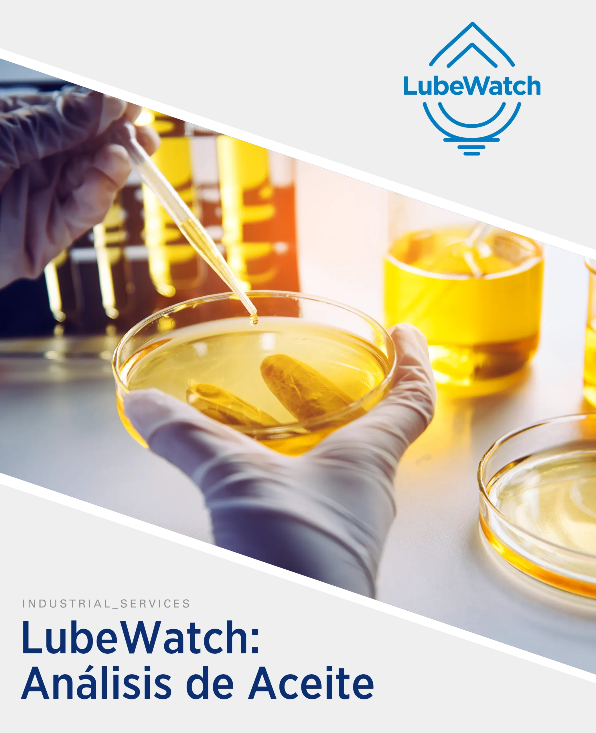 Imagen Servicios - LubeWatch