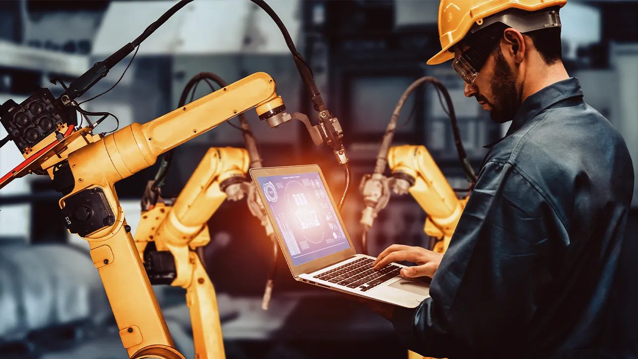 Imagen Section - Manufactura